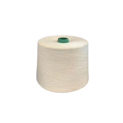120D/2 Vortex 50% Μεικτό 16S βαμμένο 30S/1 Φαντικό δαχτυλίδι σπουν νήμα υψηλής αντοχής ιζώδης ράιον νήμα