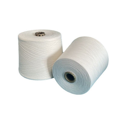 Προσαρμοσμένο 30S/2 Rayon Hot 100% Viscose Rayon White Spun 20S βαμμένο 300D Ring Spun Yarn